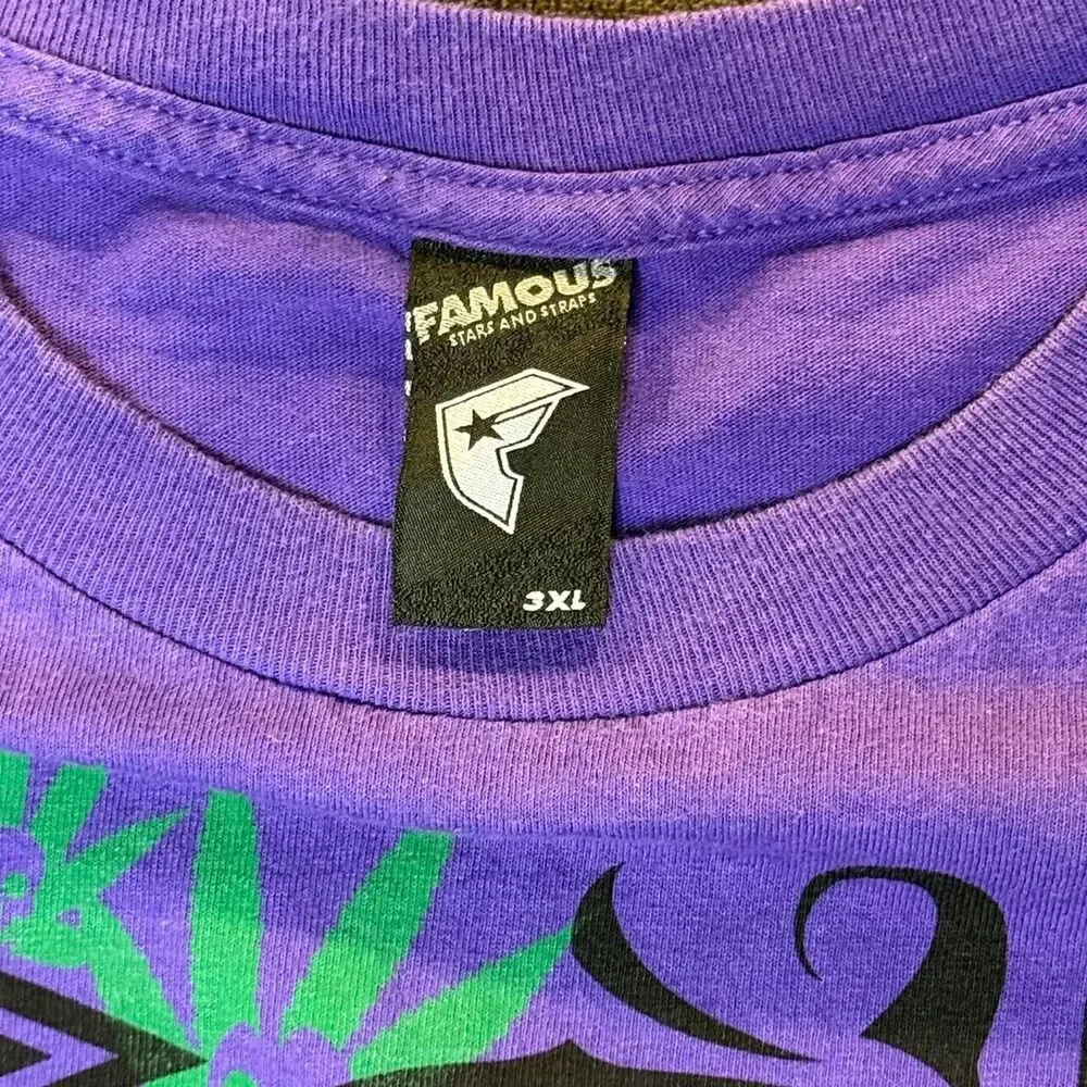 Famous-stars-straps Men's multi T-shirt
